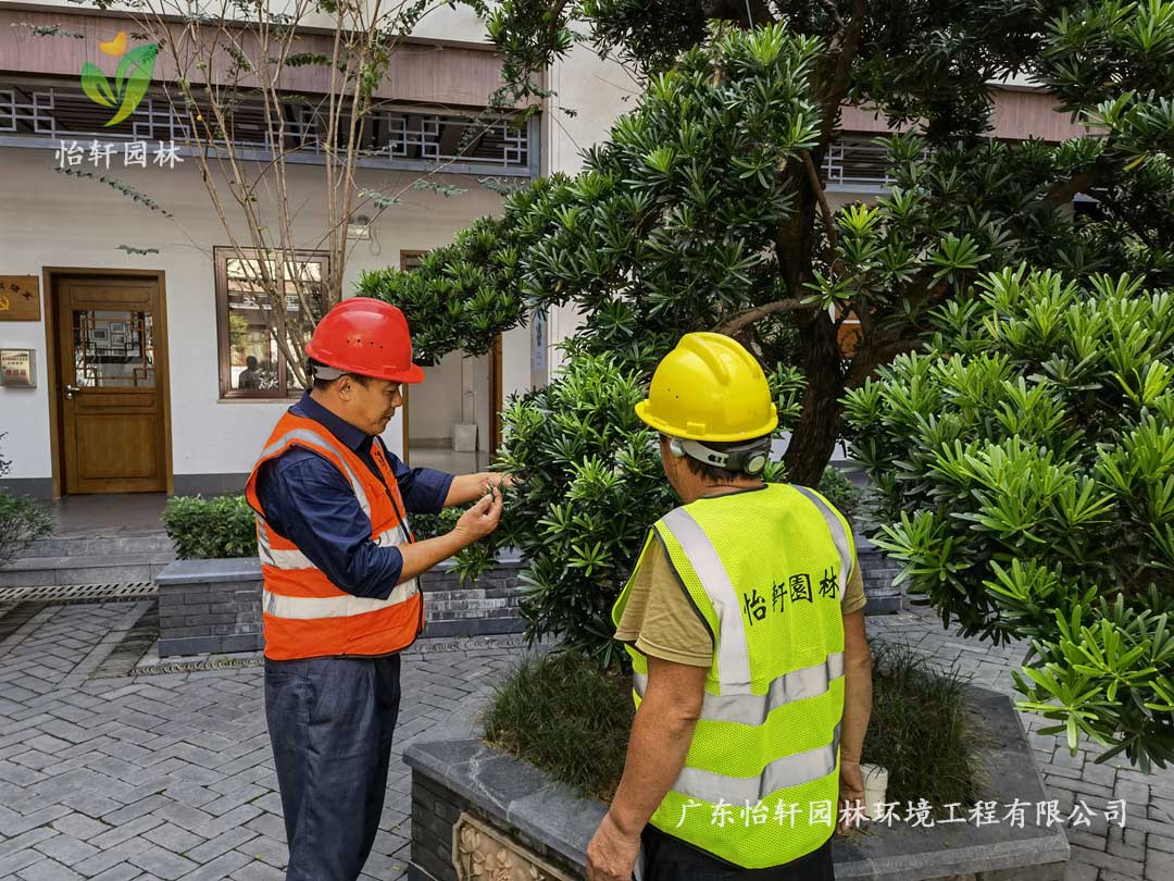 金年会园林绿化公司厂区绿化养护指导工作